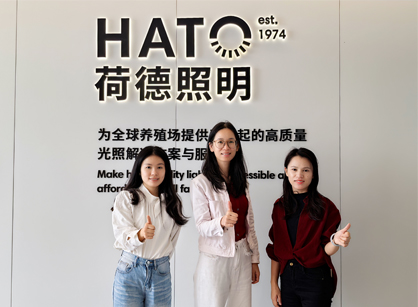 灯光照明行业办公空间焕新就来诸侯快讯装饰